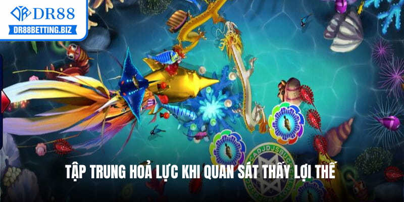 Ưu tiên tiêu diệt sinh vật nhỏ khi mới bắt đầu